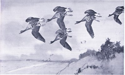 Over the sandhills by Frank Southgate